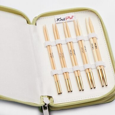 BAMBOO STARTER INTERCHANGEABLE CIRCULAR NEEDLE SET